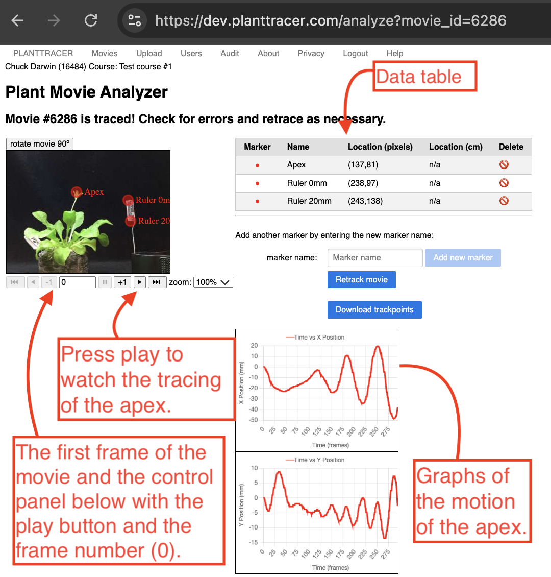 Viewing the tracked movie, data and graphs on Plant Tracer