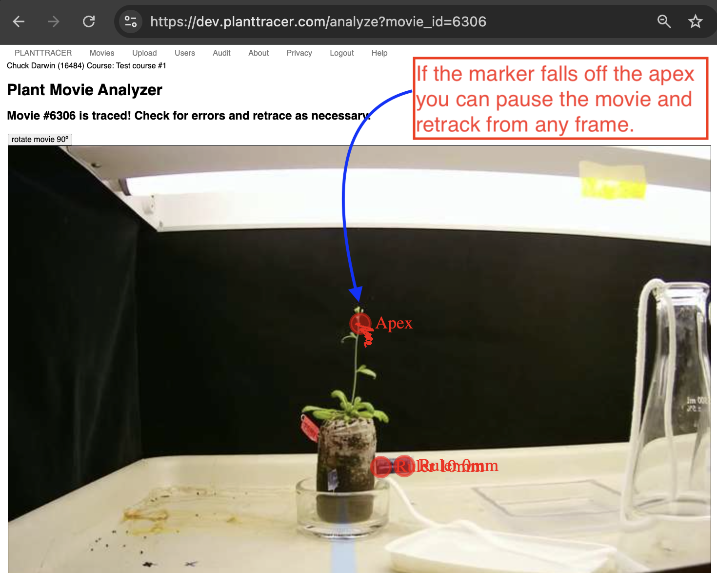 Other Adjustments in Plant Tracer