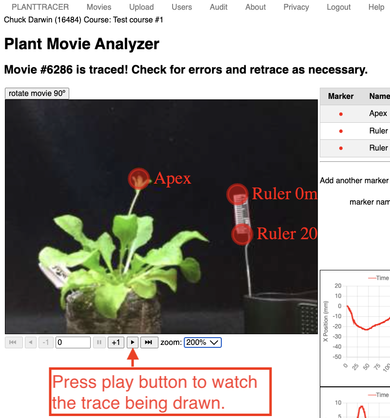 Viewing the traced movie on Plant Tracer