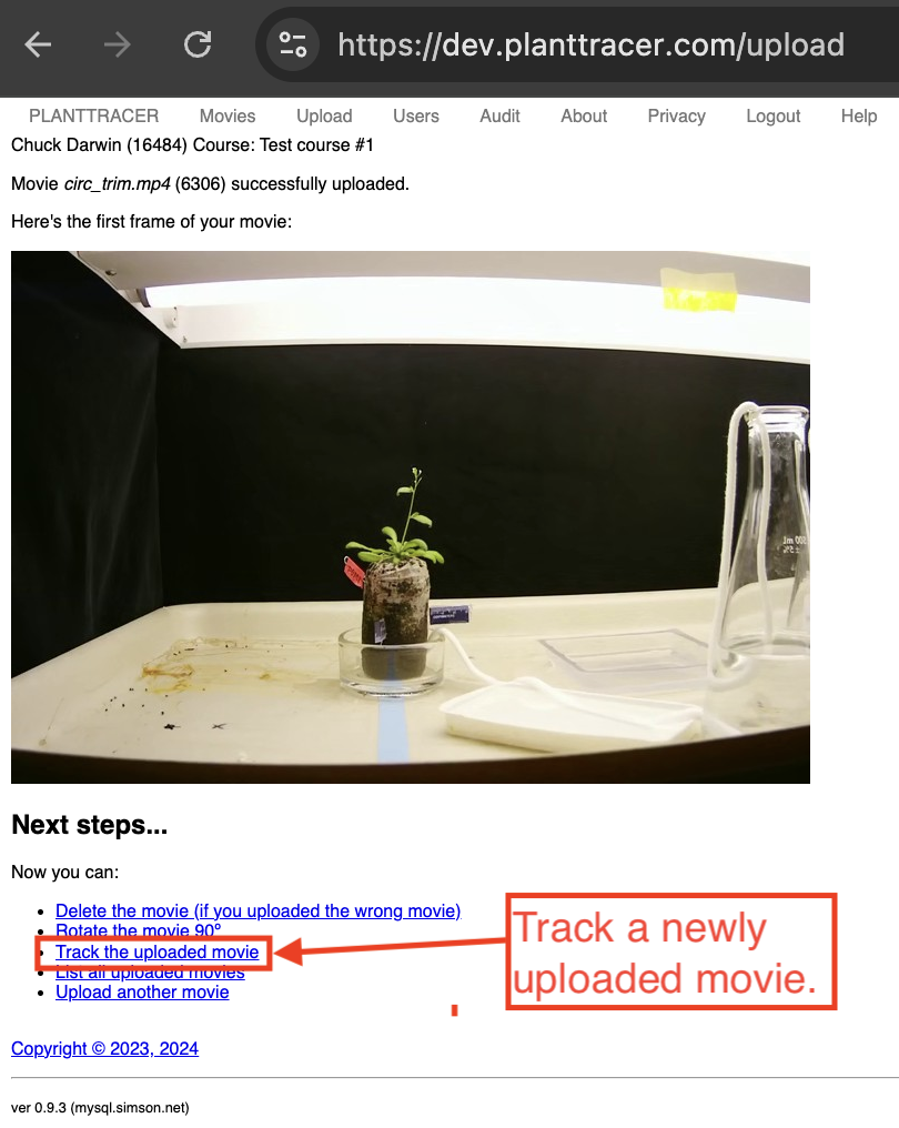 Tracking uploaded movie on Plant Tracer